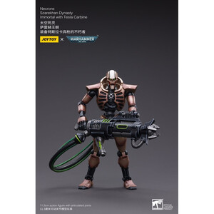 JoyToy Warhammer 40k Action Figure 2-Pack 1/18 Necrons Szarekhan Dynasty Immortal with Tesla Carbine 