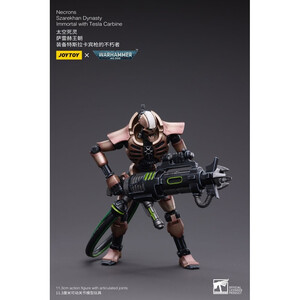 JoyToy Warhammer 40k Action Figure 2-Pack 1/18 Necrons Szarekhan Dynasty Immortal with Tesla Carbine 