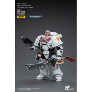 JoyToy Warhammer 40k 1/18 Scale Action Figure White Scars Assault Intercessor Sergeant Tsendbaatar 