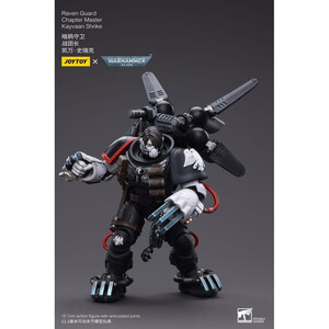 JoyToy Warhammer 40k 1/18 Scale Action Figure Raven Guard Chapter Master Kayvaan Shrike 