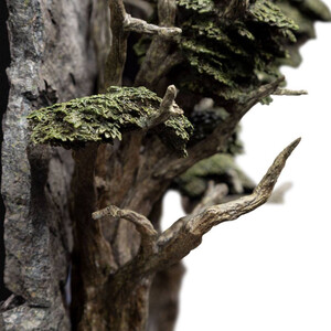 Weta Workshop Lord of the Rings Statue The Doors of Durin Environment 