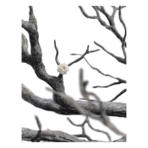 Weta Workshop The Lord of the Rings 1/6 Scale Fountain Guard of the White Tree 