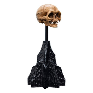 Weta Workshop Lord of the Rings Mini Statue Skull of Gollum 
