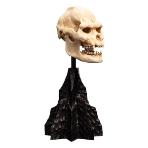 Weta Workshop Lord of the Rings Mini Statue Skull of Lurtz 