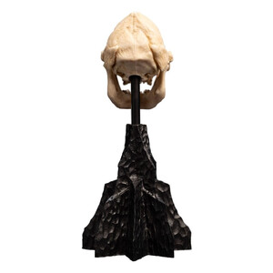 Weta Workshop Lord of the Rings Mini Statue Skull of Lurtz 