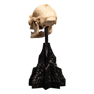 Weta Workshop Lord of the Rings Mini Statue Skull of Lurtz 