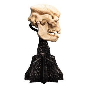Weta Workshop Lord of the Rings Mini Statue Skull of a Cave Troll 