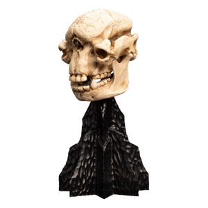 Weta Workshop Lord of the Rings Mini Statue Skull of a Cave Troll 