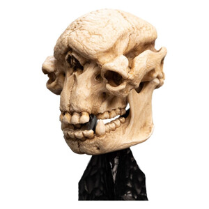 Weta Workshop Lord of the Rings Mini Statue Skull of a Cave Troll 