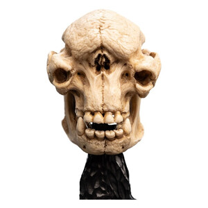 Weta Workshop Lord of the Rings Mini Statue Skull of a Cave Troll 