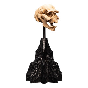 Weta Workshop Lord of the Rings Mini Statue Skull of a Moria Orc 