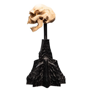 Weta Workshop Lord of the Rings Mini Statue Skull of a Moria Orc 