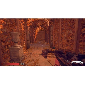 Maxmimum Entertainment XIII Switch 