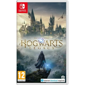 Warner Bros Hogwarts Legacy Switch 