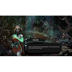 Nintendo Hades II Switch 2 