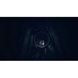 THQ Nordic REANIMAL Switch 2 