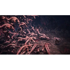 Capcom Entertainment Devil May Cry 5 Special Edition PS5 