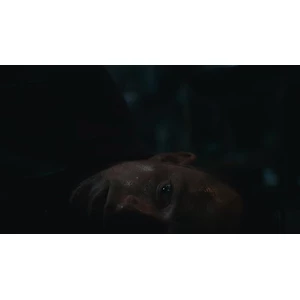 Curveball Leisure Dead Reset PS5 