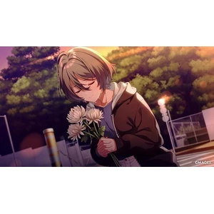 PQube SINce Memories Off the Starry Sky Switch 