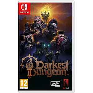 Skybound Games Darkest Dungeon 2 Switch 