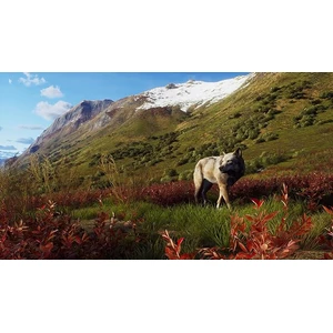 THQ Nordic Way of the Hunter Wild Expeditions PS5 