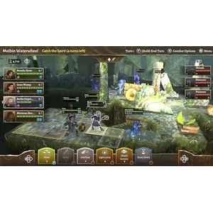 U&I Entertainment Wildermyth PS5 