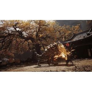 U&I Entertainment Black Myth Wukong PS5 