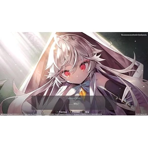 United Games Entertainment WitchSpring3 [Re:Fine] The Story of Eirudy Switch 