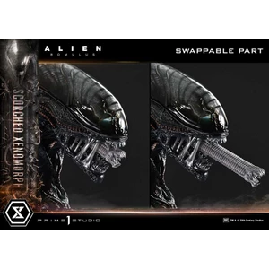 Prime 1 Studio Alien Romulus	Museum Masterline XL 1/3 Scale Alien Romulus Scorched Xenomorph 