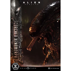 Prime 1 Studio Alien Romulus	Museum Masterline XL 1/3 Scale Alien Romulus Scorched Xenomorph 