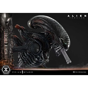 Prime 1 Studio Alien Romulus	Museum Masterline XL 1/3 Scale Alien Romulus Scorched Xenomorph 