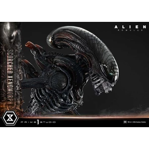 Prime 1 Studio Alien Romulus	Museum Masterline XL 1/3 Scale Alien Romulus Scorched Xenomorph 