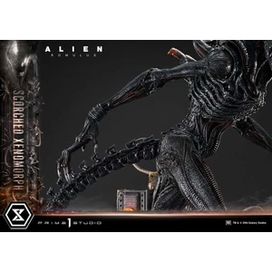Prime 1 Studio Alien Romulus	Museum Masterline XL 1/3 Scale Alien Romulus Scorched Xenomorph 