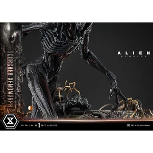 Prime 1 Studio Alien Romulus	Museum Masterline XL 1/3 Scale Alien Romulus Scorched Xenomorph 