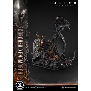 Prime 1 Studio Alien Romulus Museum Masterline XL 1/3 Scale Alien Romulus Scorched Xenomorph Deluxe Version 