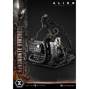 Prime 1 Studio Alien Romulus Museum Masterline XL 1/3 Scale Alien Romulus Scorched Xenomorph Deluxe Version 