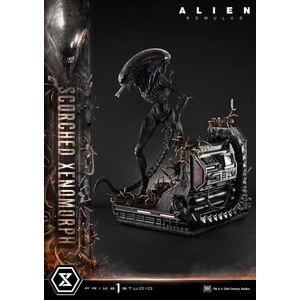 Prime 1 Studio Alien Romulus Museum Masterline XL 1/3 Scale Alien Romulus Scorched Xenomorph Deluxe Version 