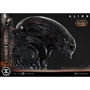 Prime 1 Studio Alien Romulus Museum Masterline XL 1/3 Scale Alien Romulus Scorched Xenomorph Deluxe Version 