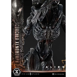 Prime 1 Studio Alien Romulus Museum Masterline XL 1/3 Scale Alien Romulus Scorched Xenomorph Deluxe Version 