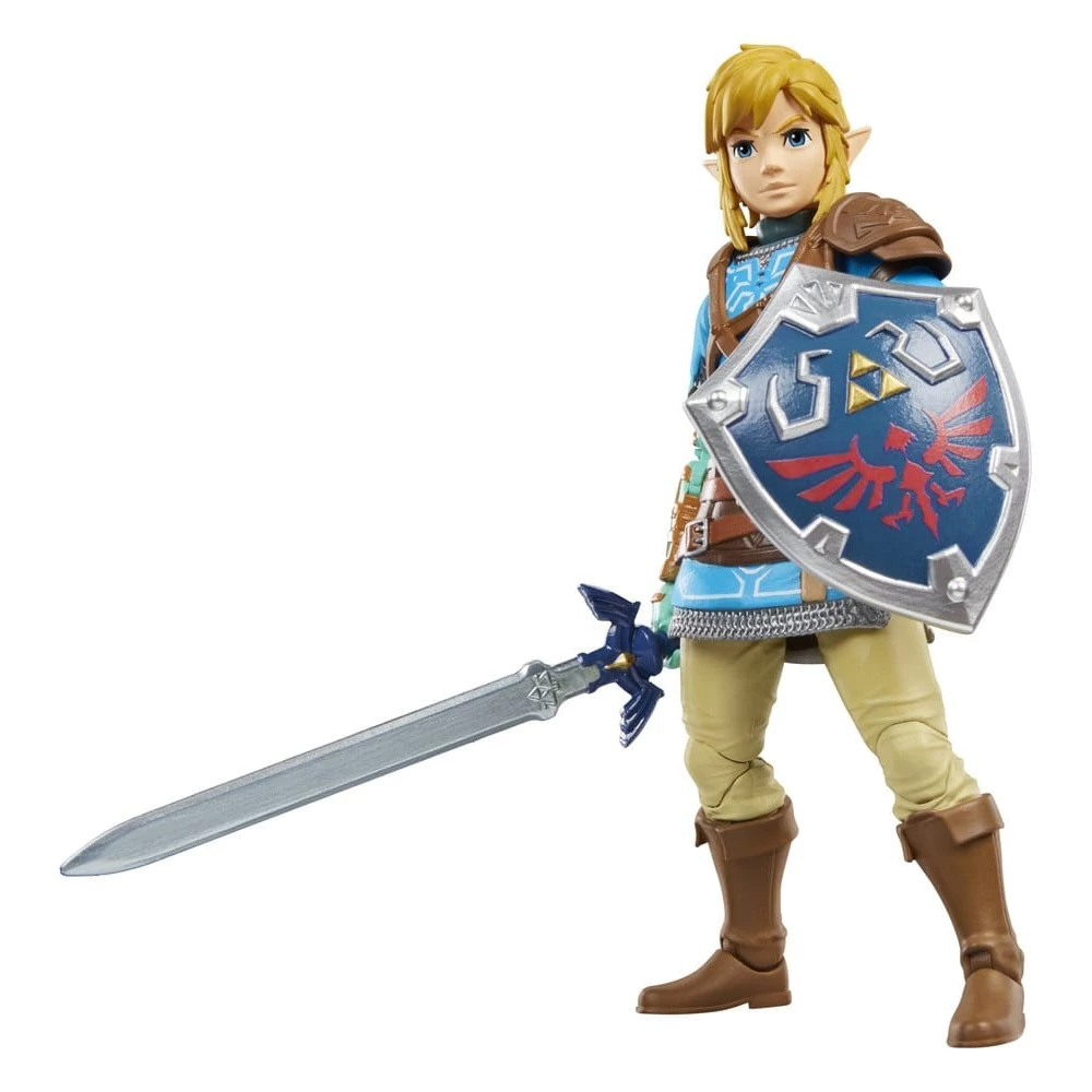 The Legend of Zelda Tears of the Kingdom Heroes of Hyrule Link 