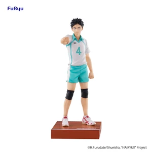 Furyu HAIKYU!! Hajime Iwaizumi 