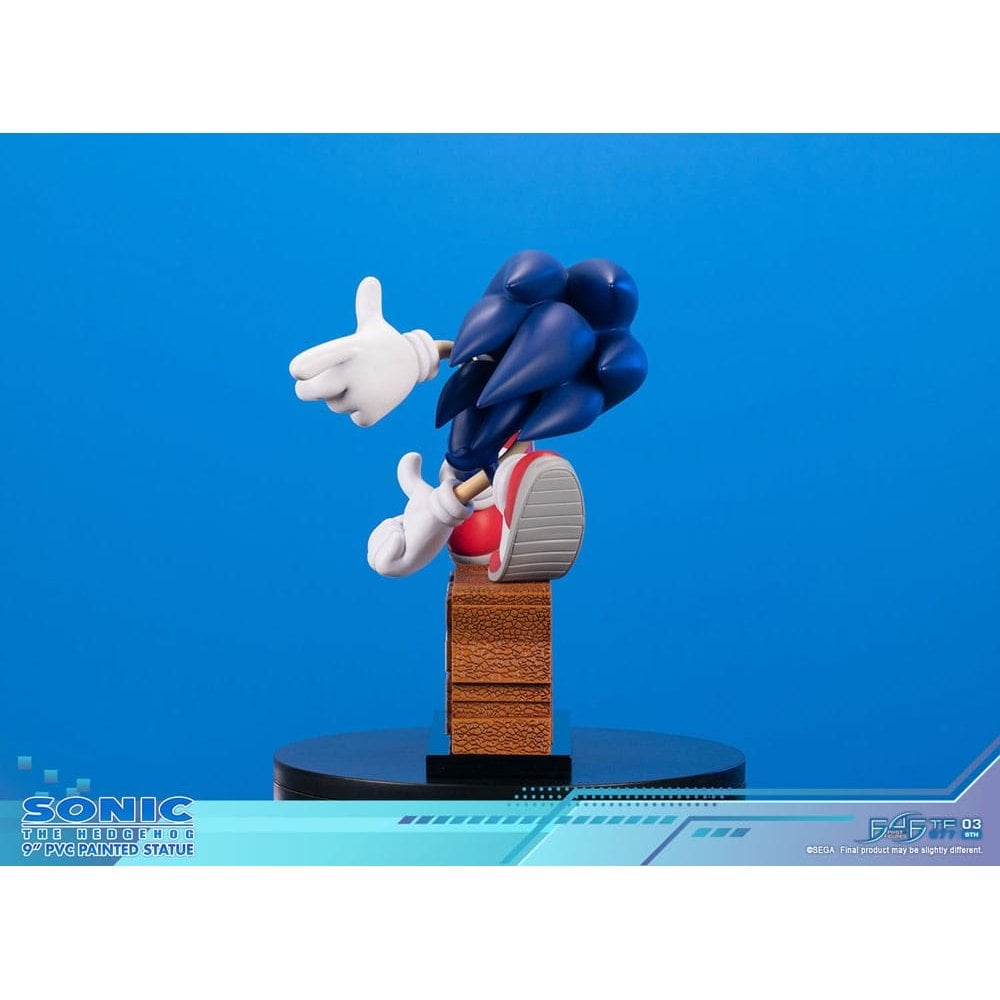 Statue First4Figures Sonic Et Tails - Résine, édition Standard, Base Jungle Brûlée, Pièce De Collection