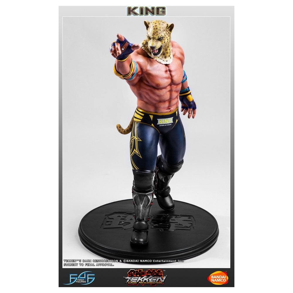 Tekken 5 King 