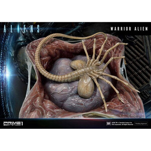 Prime 1 Studio Aliens Premium Masterline Series Warrior Alien 