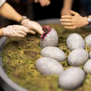 Iron Studios Jurassic Park 1/10 Scale Dino Hatching 
